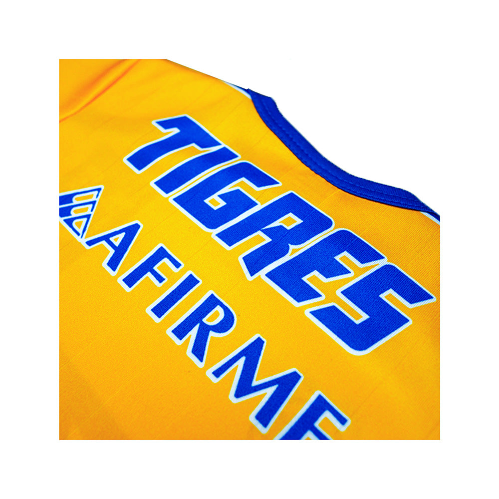 Pañalero Tigres De Monterrey